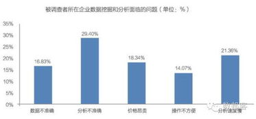 中國大數(shù)據(jù)產(chǎn)業(yè)發(fā)展前景與投資規(guī)劃分析 數(shù)據(jù)處理服務(wù)的機遇與挑戰(zhàn)